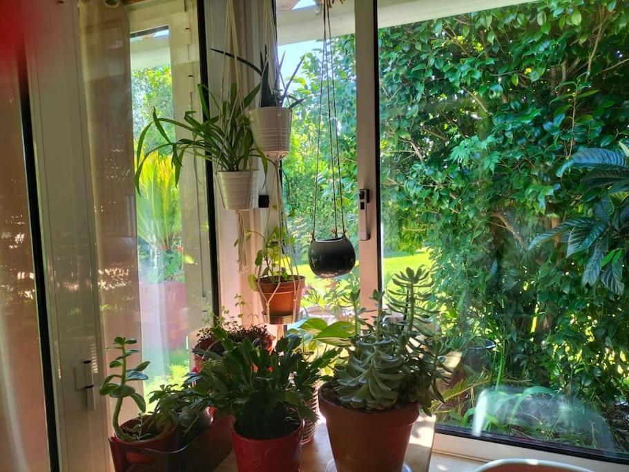 הוילה Soure Casa Triana מראה חיצוני תמונה